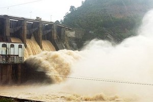 Thủy điện - Điện lực 3 (DRL) thông báo trả cổ tức bằng tiền mặt, tỷ lệ 20%