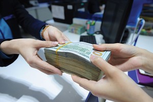 Tín dụng ngoại tệ đã tăng trưởng tích cực ngay từ đầu năm 2017 và cả năm đạt khoảng 18%