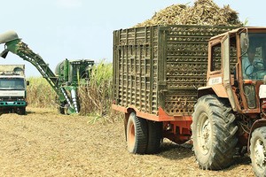 Thoái vốn Vinasugar II: Giá khởi điểm tương đương giá IPO năm 2013