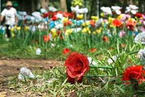 Vườn hoa trong sở thú Sài Gòn bị giẫm nát ngày đầu năm mới