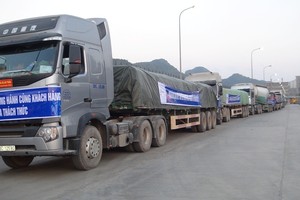 Những chuyến xe đưa xi măng Bỉm Sơn tới các công trình xây dựng.