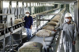 Từ 1/2/2018, xuất khẩu xi măng sẽ không chịu thuế VAT. Ảnh: Gia Huy