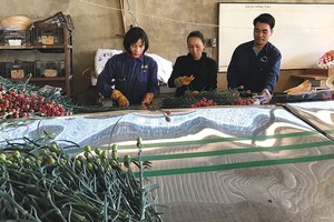 Hỗ trợ các “đầu tàu” nông nghiệp sạch, ứng dụng công nghệ cao