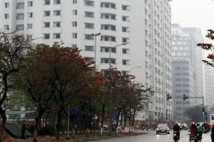 N01-D17 đang trong giai đoạn hoàn thiện và có dấu hiệu bị thổi giá