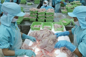 Việc Mỹ áp thuế rất cao sẽ có tác động lớn tới xuất khẩu cá tra, basa của Việt Nam sang Hoa Kỳ