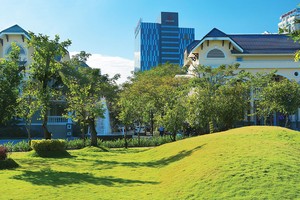 Dragon City: Thành phố tương lai đã sẵn sàng