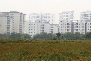 Sẽ xử lý nghiêm hành vi lấn, chiếm đất