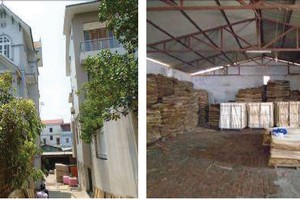 Phía sau sự lao dốc của cổ phiếu TLD