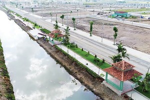 Phân khúc đất nền phía Nam đang trong cơn sốt. Ảnh: Gia Huy