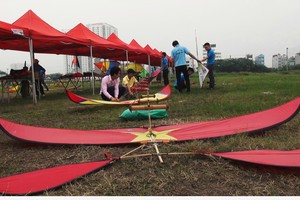 170 con diều tranh tài ở Hà Nội