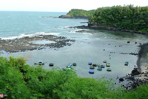 Di sản thiên nhiên Quảng Ngãi sắp giao cho Tập đoàn FLC