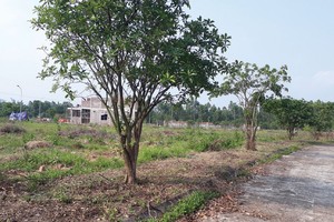 Giao dịch đất phân lô tại các đặc khu tương lai trở nên trầm lắng hơn