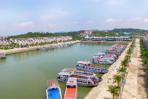 (Ảnh chỉ mang tính minh họa)