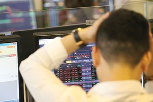 Những cổ phiếu siêu giảm giá