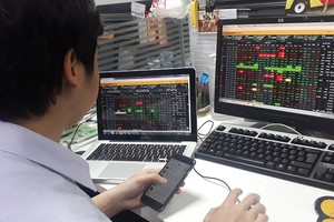 Chứng khoán Việt đã tạo lập vùng cân bằng