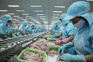 Tháng 5, kinh tế tiếp tục chuyển biến tích cực