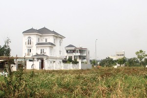 Đất nền tại các tỉnh vùng ven Hà Nội đang sốt cục bộ