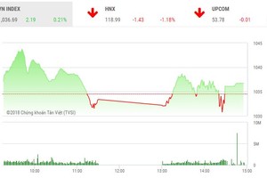 Phiên chiều 7/6: TCB tăng kịch trần, VN-Index giữ được sắc xanh nhạt