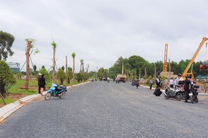 Cơn sốt đất nền tại TP.HCM đang có dấu hiệu hạ nhiệt. Ảnh: Gia Huy