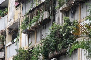 Hà Nội hiện có nhiều khu chung cư cũ đã xuống cấp nghiêm trọng