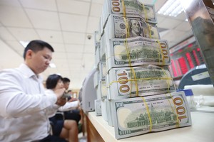 Trong quý I/2018, tín dụng ngoại tệ tại nhiều ngân hàng đã tăng mạnh