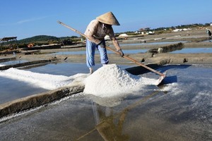Phần diện tích của đồng muối Sa Huỳnh đang được nhà đầu tư lên phương án đền bù, giải tỏa để phân lô, bán nền.