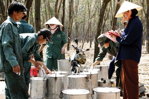 Chờ đợi diễn biến mới với mã cao su