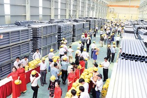 Tập đoàn Hoa Sen có thể cải thiện lợi nhuận trong nửa cuối năm nhờ bán Cảng quốc tế Hoa Sen Gemadept