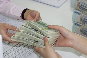 Khuyến nghị siết dần tín dụng ngoại tệ