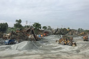 NNC dự kiến chia cổ tức 70% bằng tiền trong quý III