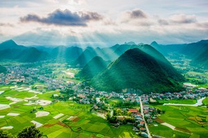 Hút hồn với sóng lúa xanh Bắc Sơn