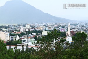 Phú Yên chuẩn bị “tổ” chờ những con sếu lớn