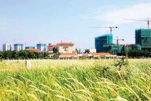 Thị trường bất động sản đang chững lại trong 9 tháng năm nay.