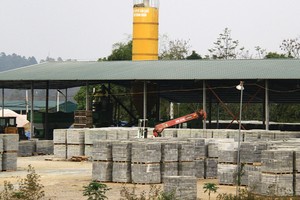 Ảnh: Thành Nguyễn