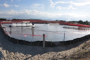 BRG tăng cường sản xuất nông nghiệp đáp ứng nhu cầu trong nước và xuất khẩu