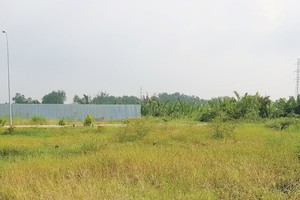 Nghe theo lời quảng cáo có cánh, nhiều nhà đầu tư đã bị chôn vốn ở các dự án bánh vẽ ở vùng ven. Ảnh: Gia Phú