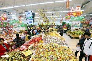 Mức tăng 9,4% (đã loại trừ yếu tố giá) của tổng mức bán lẻ hàng hóa và doanh thu dịch vụ tiêu dùng trong tháng 1 phần nào cho thấy sự khởi sắc của nền kinh tế. Ảnh: Đ.T