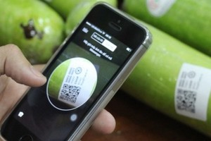 Ảnh minh hoạ: Internet