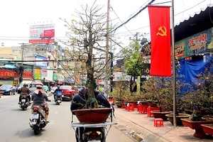 Một cuốc xe nửa triệu, từ tài xế xe truyền thống đến lái xe “công nghệ” bỏ cuốc để chở hoa kiểng