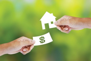 Netland muốn huy động 90 tỷ đồng qua phát hành cổ phiếu