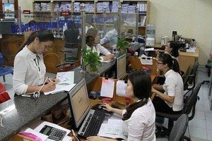 Ảnh minh họa (Internet)