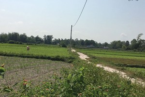 Đà Nẵng: hệ lụy khôn lường từ cơn sốt đất Hòa Vang