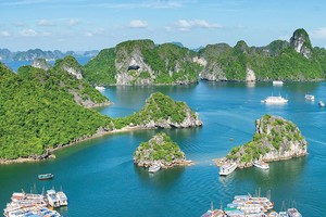 Quảng Ninh dừng việc lập 3 đồ án quy hoạch tại Hạ Long