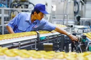 Nhiều lao động tại Sabeco rất lo lắng sau khi được mời lên ký lại hợp đồng, trong đó hợp đồng có một số điều khoản bất lợi cho người lao động - Ảnh: TT