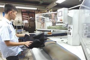 Để kinh tế tư nhân phát triển, còn nhiều vấn đề liên quan đến thể chế, chính sách, đến môi trường đầu tư, kinh doanh cần được quan tâm, giải quyết.