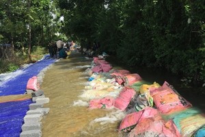 Nước tràn đê ở xã Đông Yên, huyện Quốc Oai (Ảnh minh họa: Internet)