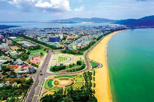Quy Nhơn, khi thành phố của vùng “đất võ” lên cơn sốt