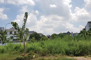 Chủ đầu tư “quên” tiện ích xanh: Ai xử lý?