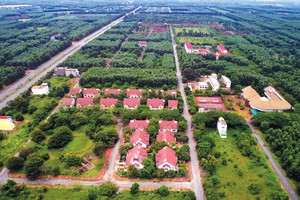 Nhiều khu đất rừng, rẫy tại các tỉnh phía Nam bỗng chốc được giới đầu tư săn lùng, đẩy giá lên cao