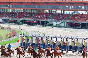 Hiện mới chỉ có trường đua ngựa Đại Nam ở Bình Dương đi vào hoạt động và đang xin phép được kinh doanh cá cược tại đây. Ảnh: Đức Thanh